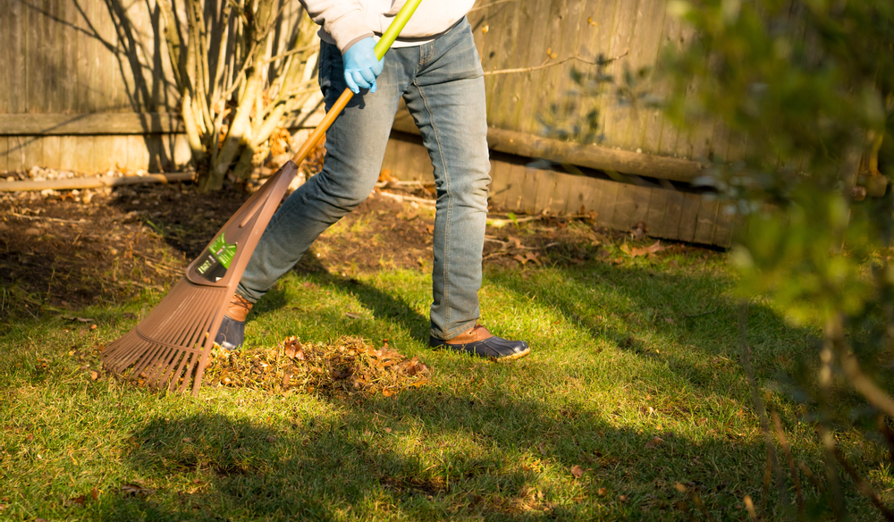 Fall Clean Up