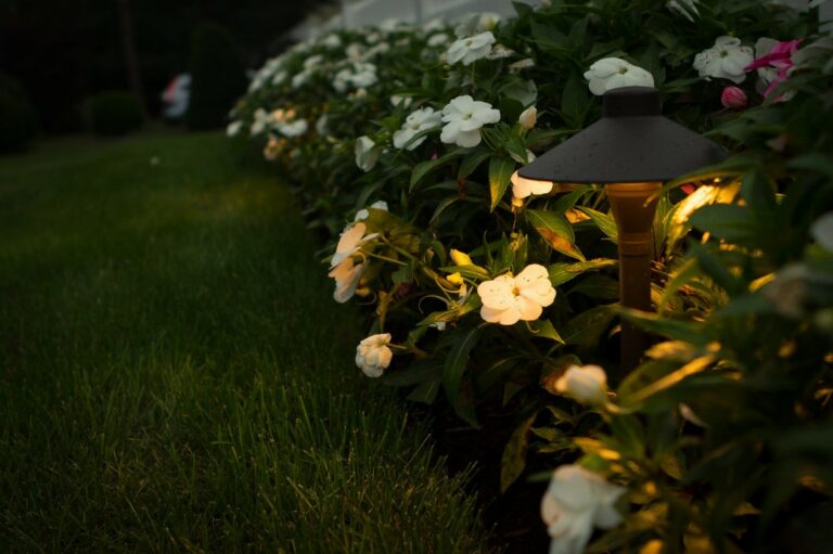 landscape lights in flowers